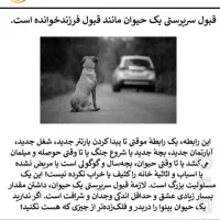 واگذاری رایگان نژاد های سگ|سگ|شهرضا, |دیوار