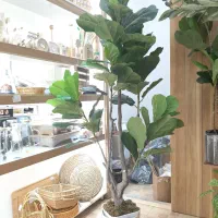 انواع درختچه های مصنوعی