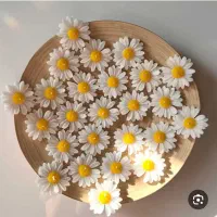 شمع. گل بابونه|صنایع دستی و سایر لوازم تزئینی|اهواز, بهارستان|دیوار