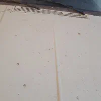 وانت بار