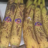موز خالدار برای تهیه شیرموز