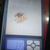 پلاک زنجیر رضا