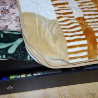 تخت دوطبقه|تخت و سرویس خواب|اهواز, کوی علوی|دیوار
