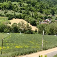 زمین مسکونی ۳۰۰ متر ییلاقی جنگلی مازندران