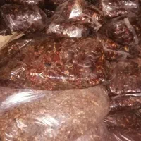 ضایعات خرما از بهترین نخلستان های استان بوشهر|خدمات باغبانی و درختکاری|بوشهر, |دیوار