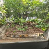 فروش-300متر-کلنگی-قلهک