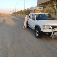 فروش پیکاپ ریچ