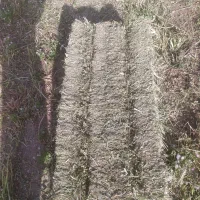 پرس شبدر چن سه