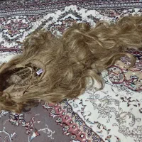کلاه گیس|آرایشی، بهداشتی، درمانی|مشهد, طبرسی شمالی|دیوار