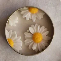 آموزش وتولید وانواع باکس گیفت تولد نوزادی عروسی|صنایع دستی و سایر لوازم تزئینی|رشت, کاکتوس|دیوار