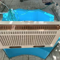 هود مدل کن.درحد