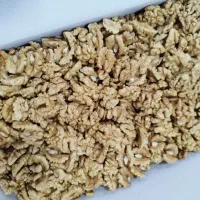مغز گردو (فروش بالای ۱۰ کارتن)