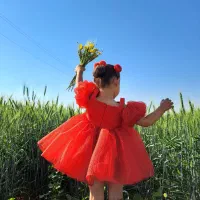 لباس تولد لباس پرنسسی|کفش و لباس بچه|شیراز, حجت آباد|دیوار