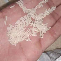 برنج طارم