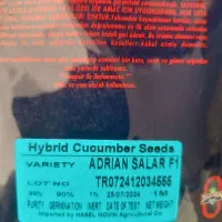 بذر خیار گلخانه ای