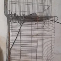 فروش قفس پرنده