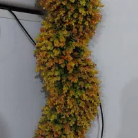 درخچه مصنوعی شمشاد