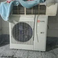 فن کوئل در حد نو