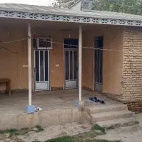 حلب شیروانی دست دوم