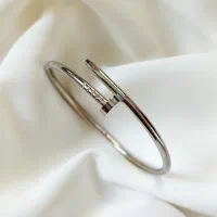 بنگل میخ رنگ ثابت طلایی و نقره ای|زیورآلات و اکسسوری|ساری, |دیوار