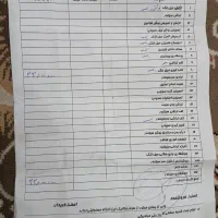 پاترول دودرب|خودرو سواری و وانت|ایلام, |دیوار