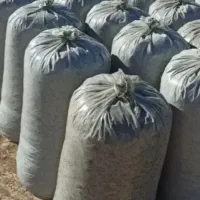 ذرت علوفه ای.سیلو .