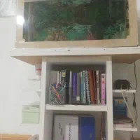 آکواریوم