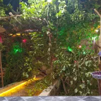 منشی خانم جهت کار درکافه