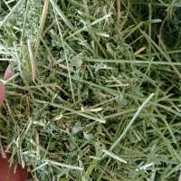 کاه یونجه فیروزآباد|حیوانات مزرعه|فیروزآباد (فارس), |دیوار