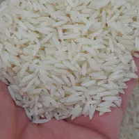 برنج طارم محلی فریدونکنار امسالی به شرط خالص|خوردنی و آشامیدنی|اصفهان, رزمندگان|دیوار
