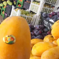 سرمایه گذاری و شراکت در کار
