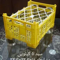 تولید سبد میوه|ظروف نگهدارنده، پلاستیکی، یک‌بارمصرف|ممقان, |دیوار