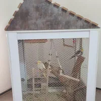 قفس عروس هلندی|لوازم جانبی حیوانات|هشتگرد, شهرک صنعتی هشتگرد|دیوار