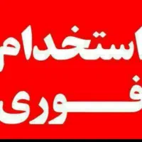 استخدام همکار خانم در تولیدی کفش