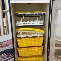 دستگاه جوجه کشی هدایت