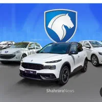 حواله ریرا چانگان فیدلیتی ۲۰۷