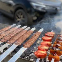 شاگرد ساده  کبابی