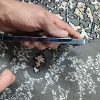 گوشی ایفن ۱۳ پرو ۱۲۸|موبایل|مشهد, کوه سنگی|دیوار