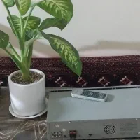 دی وی دی|پخش‌کننده DVD و ویدیو|قزوین, |دیوار