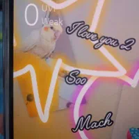 عروس هلندی گمشده