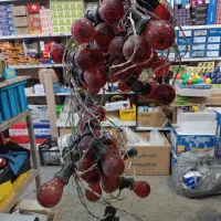 ریسه اجاره‌ای و فروشی