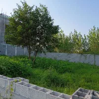 زمین ساحلی ۲۶۵ متری دور دیوار  ۱ کیلومتری دریا|فروش زمین و ملک کلنگی|بندر انزلی, جفرود پایین|دیوار