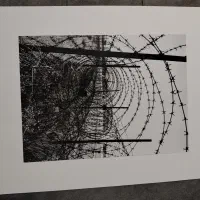 عکس انتزاعی