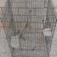 قفس کاسکو