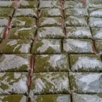 عنوا سبزی خام رامهرمزارسال به سرتاسرکشور