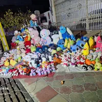 عروسک پولیشی تک و عمده