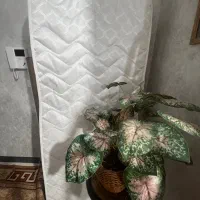 تشک رویال یکنفره|تشک تختخواب|احمدآبادمستوفی, |دیوار