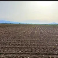 زمین با کاربری صنعتی