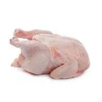 فروش مرغ گرم وتخم مرغ وبوقلمون گرم گوشتی درجه یک