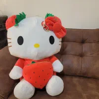 عروسک خرس تدی و کیتی بزرگ|اسباببازی بچه|مشهد, سرافرازان|دیوار